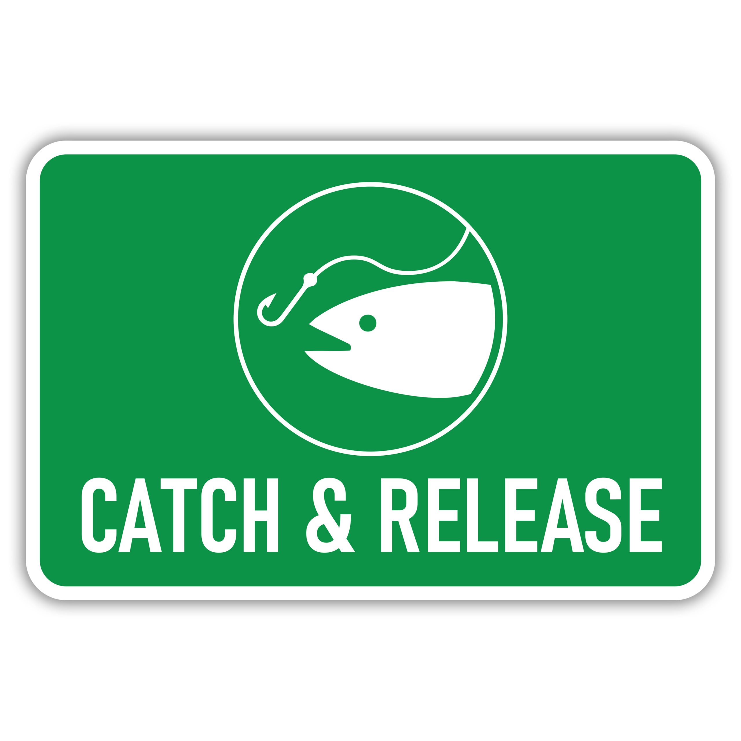 CATCH & RELEASE American Sign Company