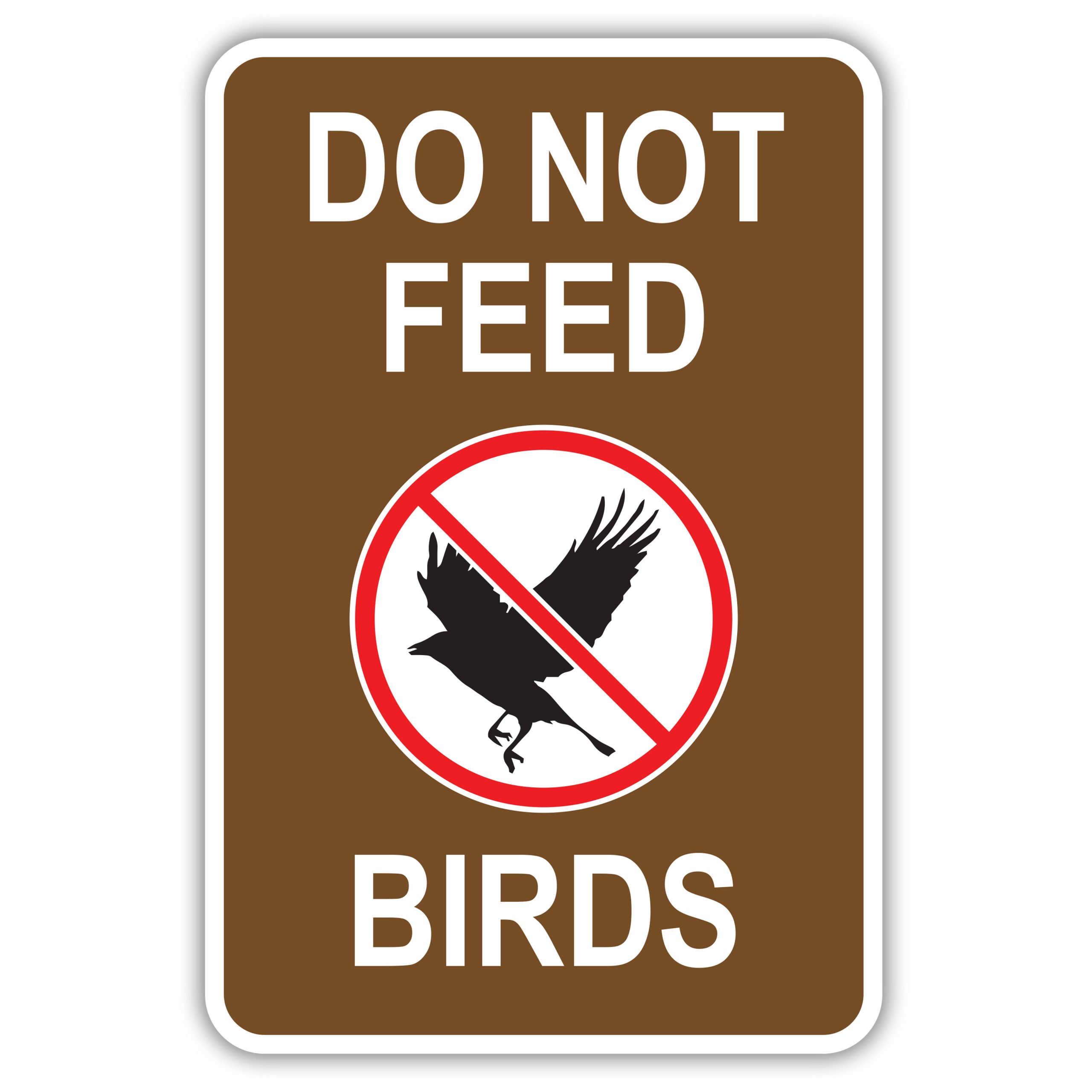 is-feeding-wild-birds-good-or-bad-worldatlas